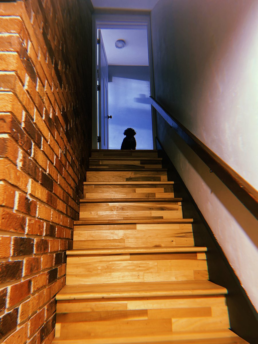 Graham Uhelski ▲ “Cryptica” tweet media