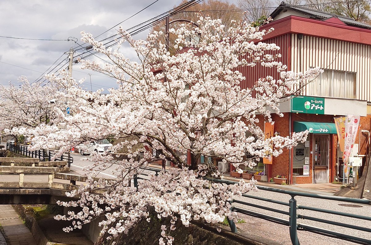 宴会場 tweet media