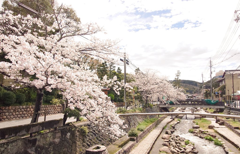 宴会場 tweet media