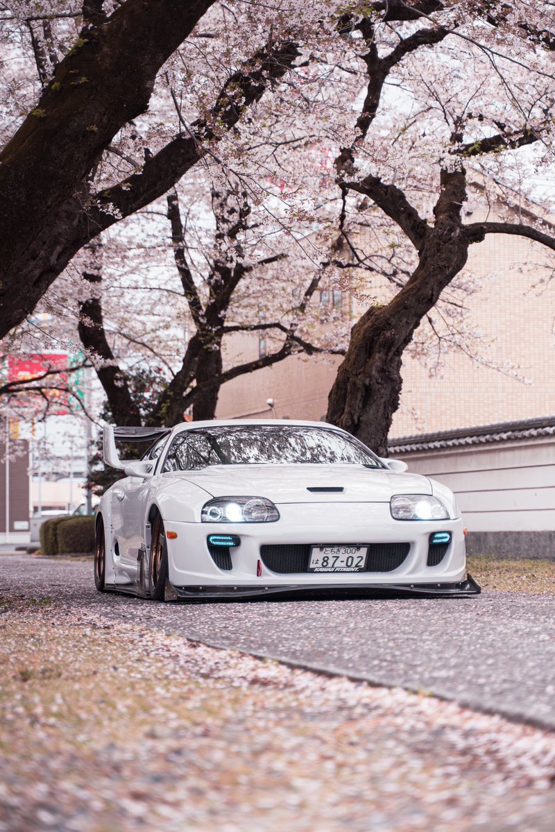 もちお tweet media