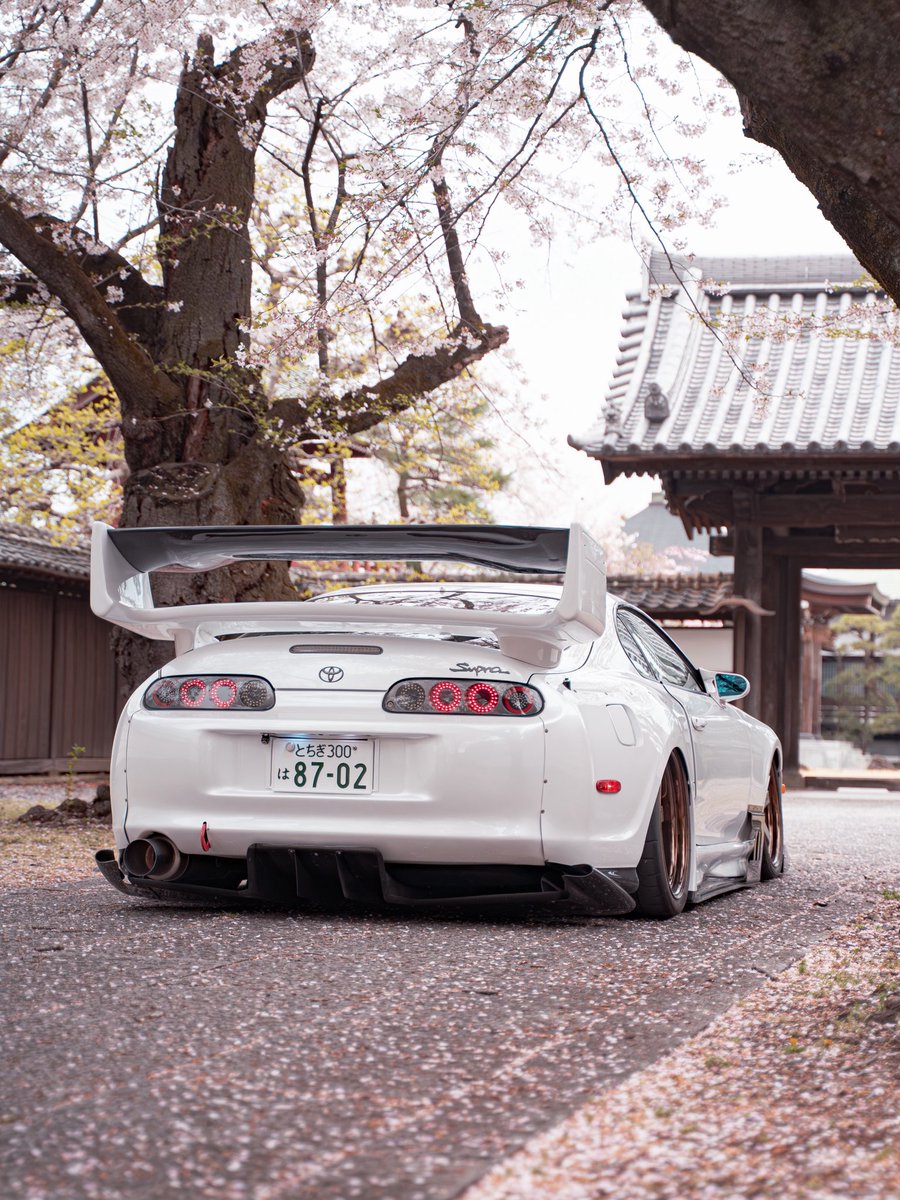 もちお tweet media