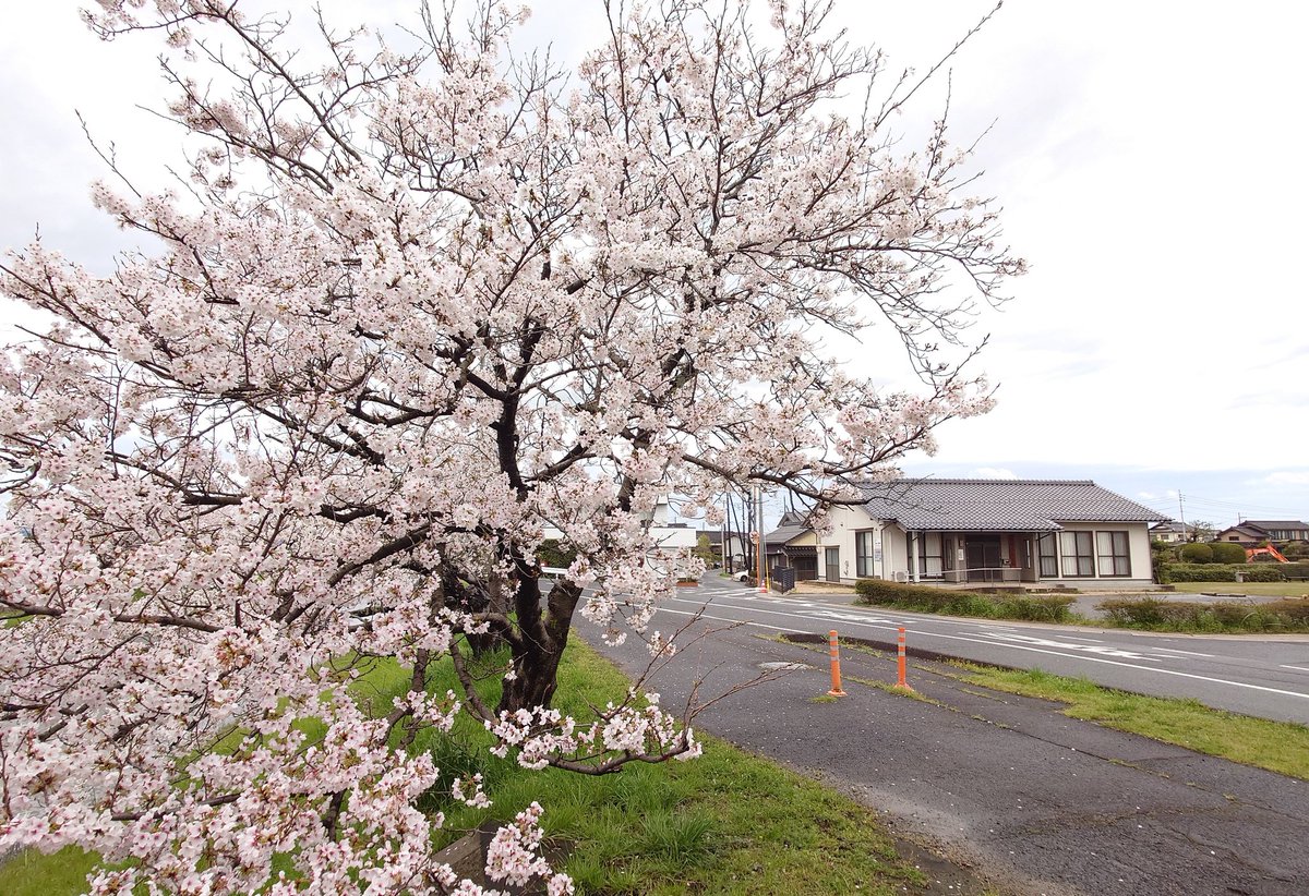 宴会場 tweet media