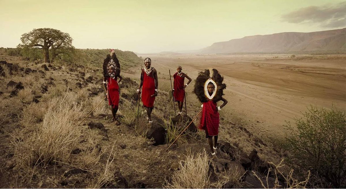 markkaplan20's tweet photo. There are tribes on this planet who eat meat, fat, and whole foods every single day.

They've been doing it for tens of thousands of years.

They don't get heart disease. They don't get diabetes. They don't get obese.

You've been told the food they eat is killing you.

They're the proof it isn't. 🧵