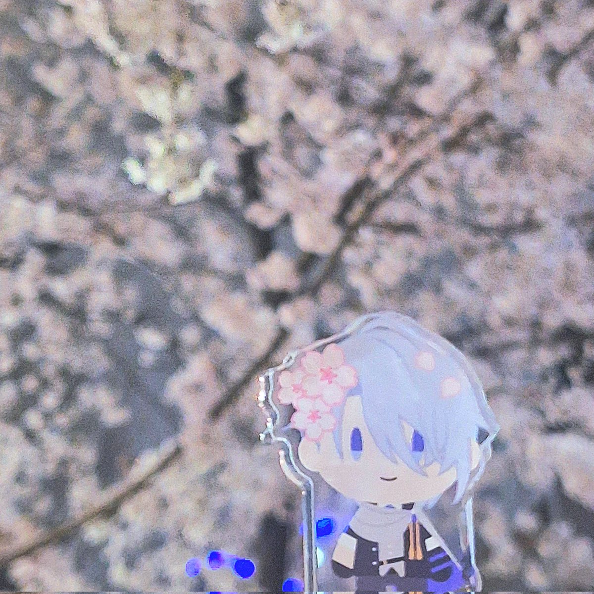 ᴋᴀɴᴏ tweet media