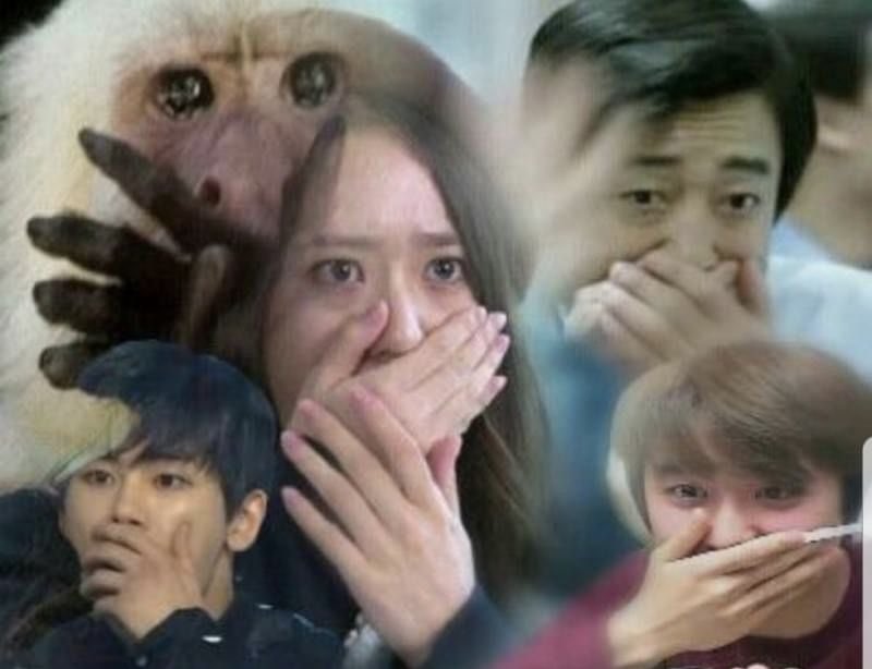 動くpdf tweet media