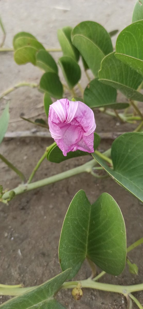 Let's Get Lost... tweet media