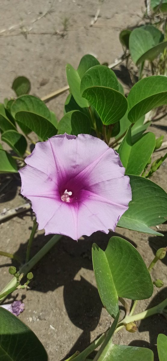 Let's Get Lost... tweet media