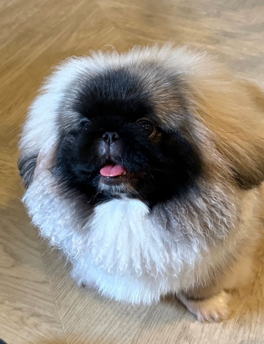 𝘼𝙒𝙆. tweet media