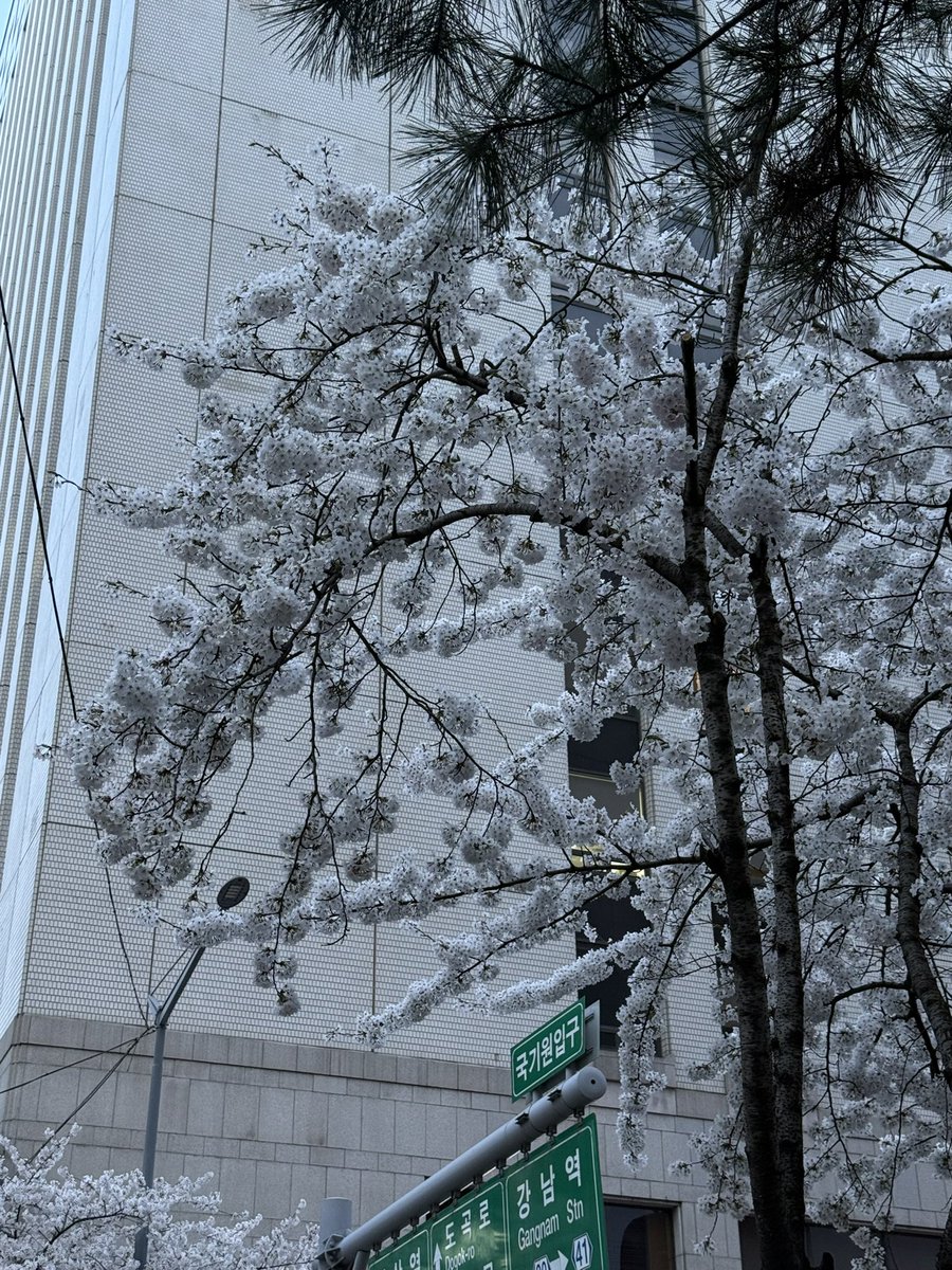 ᴅᴏᴡᴏᴏɴᴜᴛ🍩 tweet media