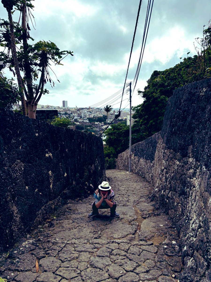 おみそちゃんねる【下念司ニュースの猫側】 tweet media