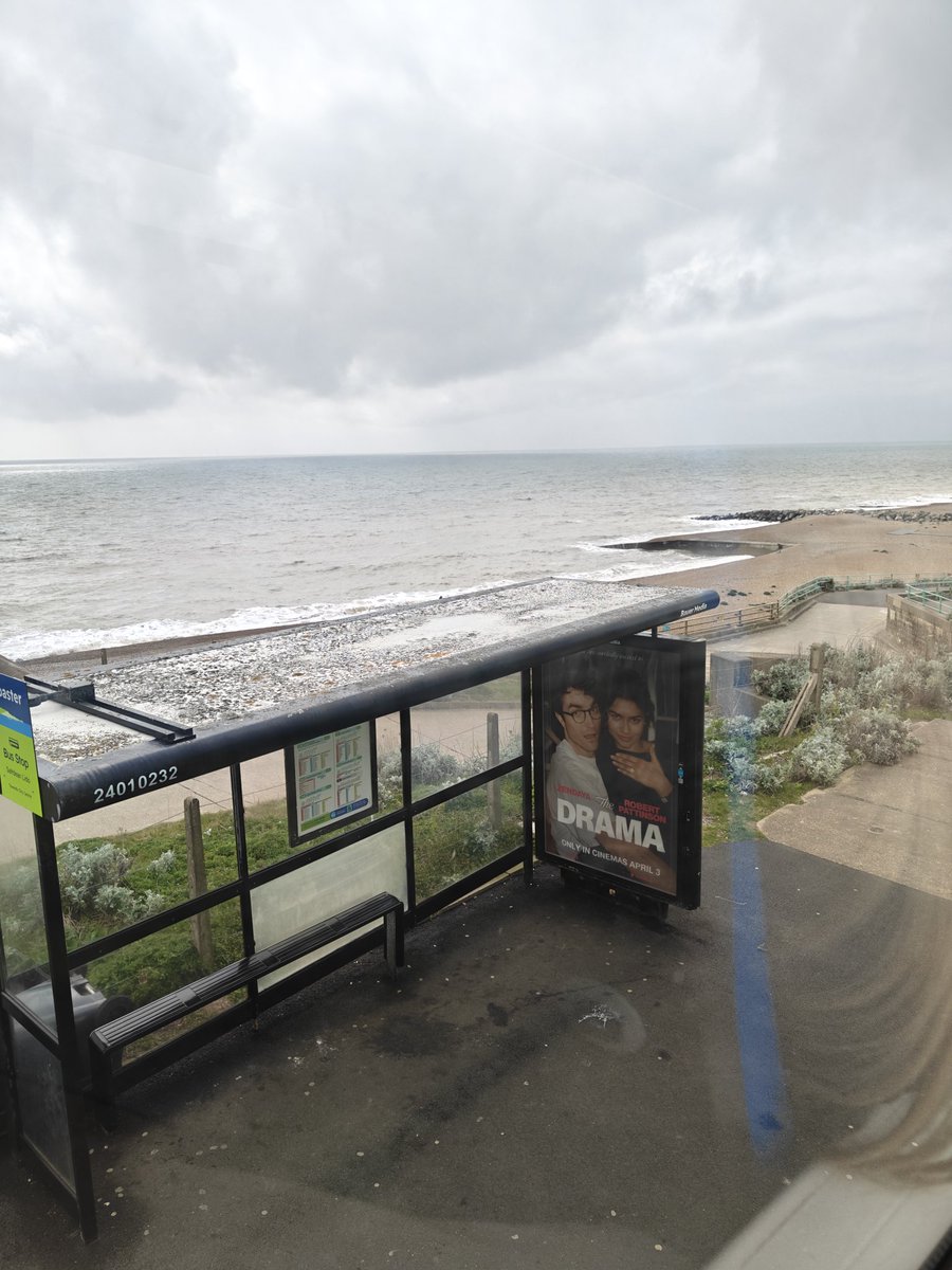 TheBeanAlt tweet media