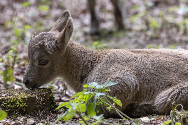 Nancy Perry tweet media