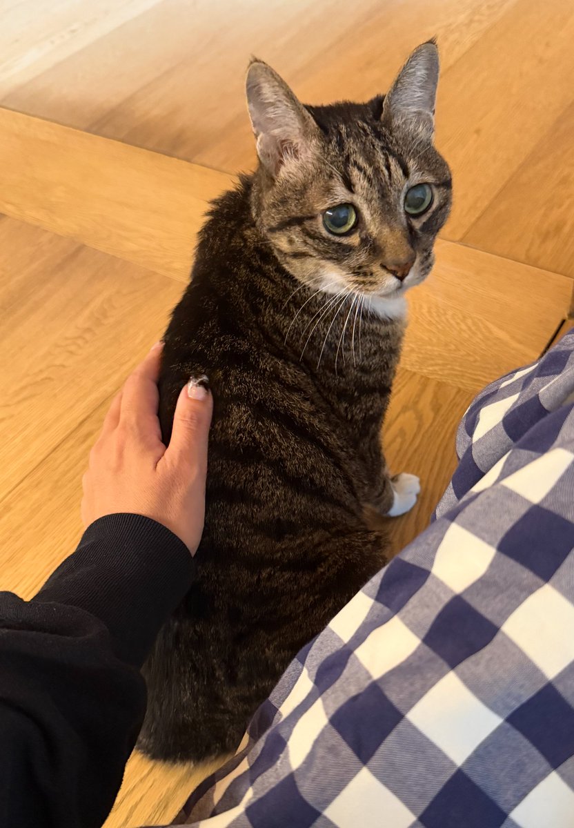 노마는 19살 tweet media