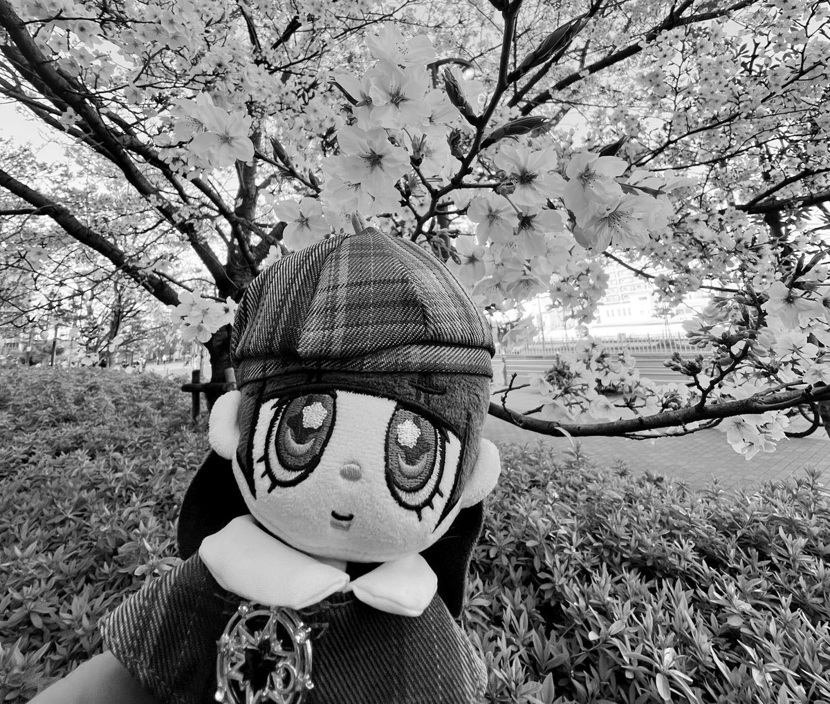 ちぐら🫧🐉🏯 tweet media