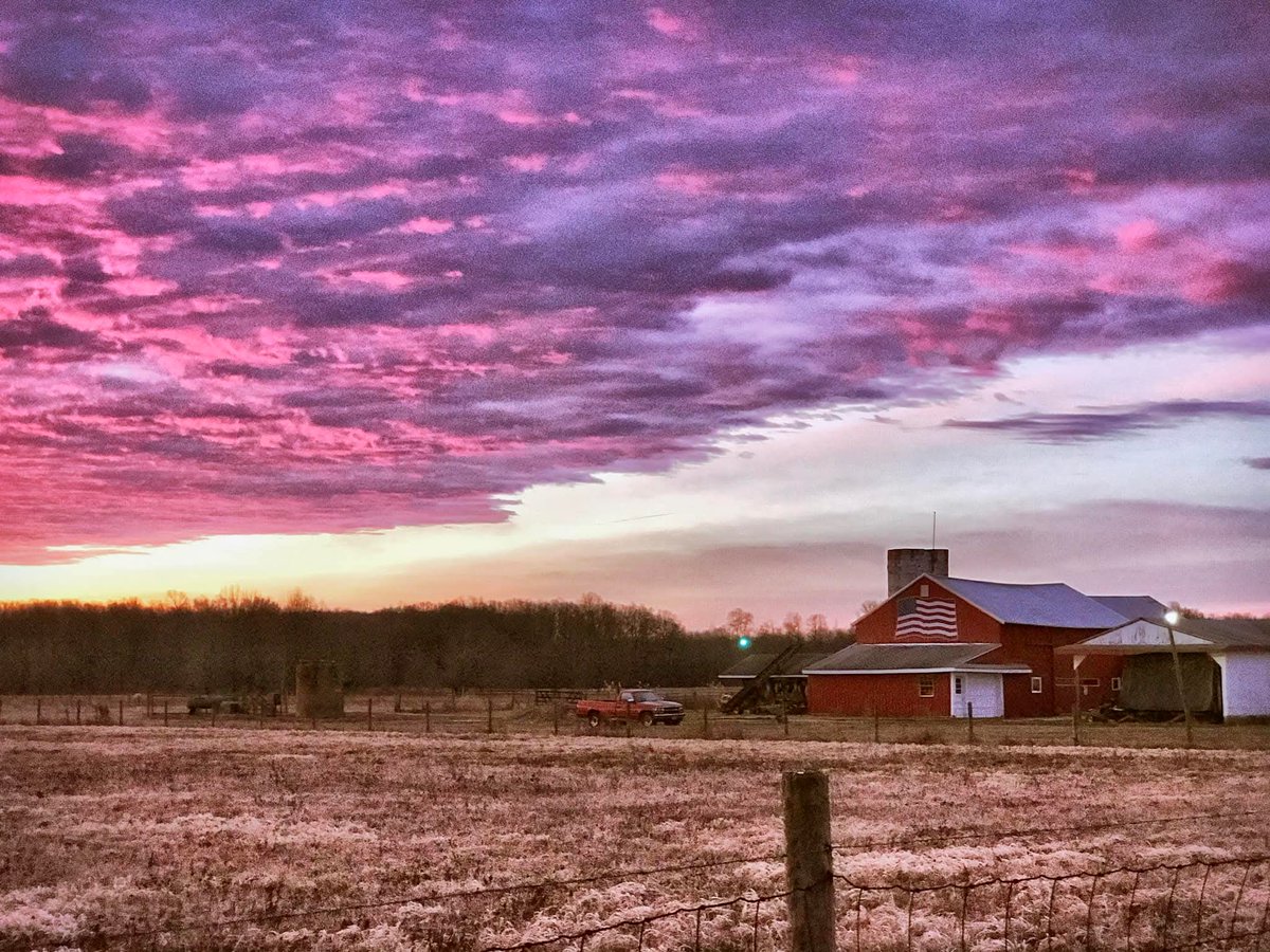 Johnny Cadillac tweet media