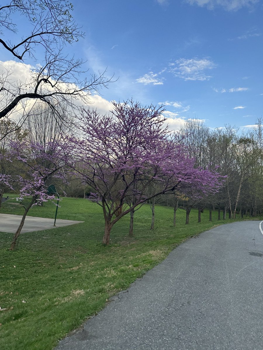 tdarmofal's tweet image. Beautiful morning for a run in Bethesda!! #keepmovingforward #mentalfitness #sunshineday