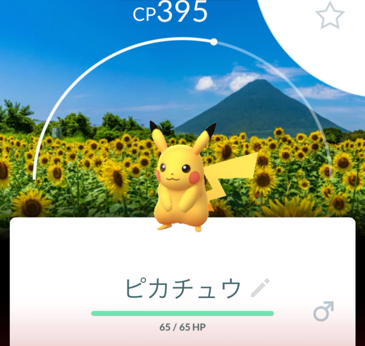 Yuririn.⋆𝜗𝜚 tweet media