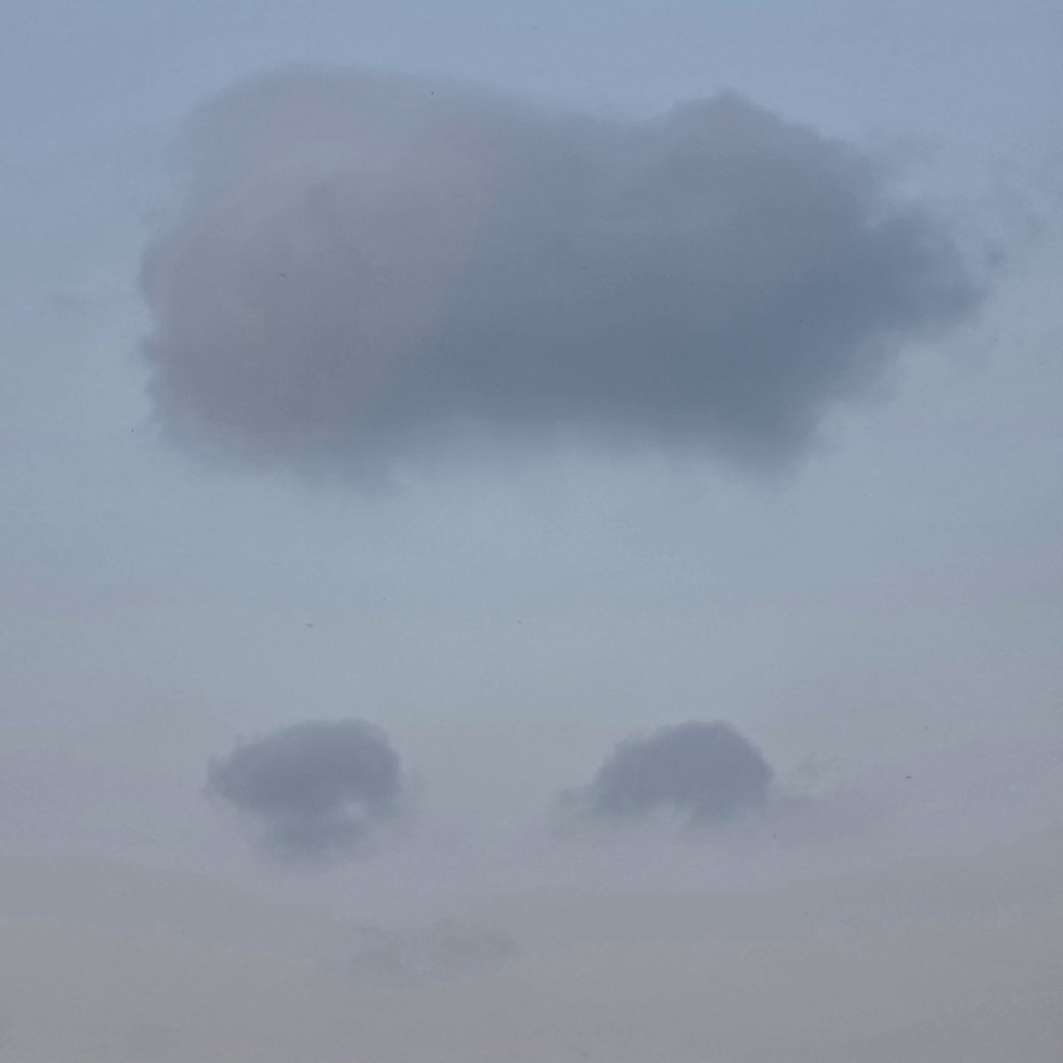 ㅈㅅㅎ 닮앗움~~ 이유는몰루
아 보고싶다