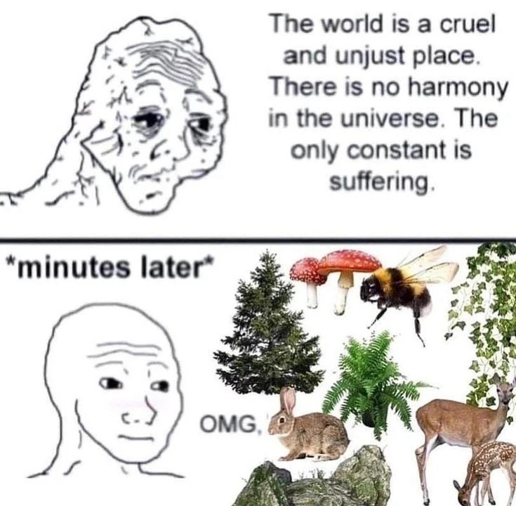 ˚₊‧꒰ა 𝔥𝔞𝔩𝔦𝔯𝔦𝔰 ໒꒱ ‧₊˚ tweet media