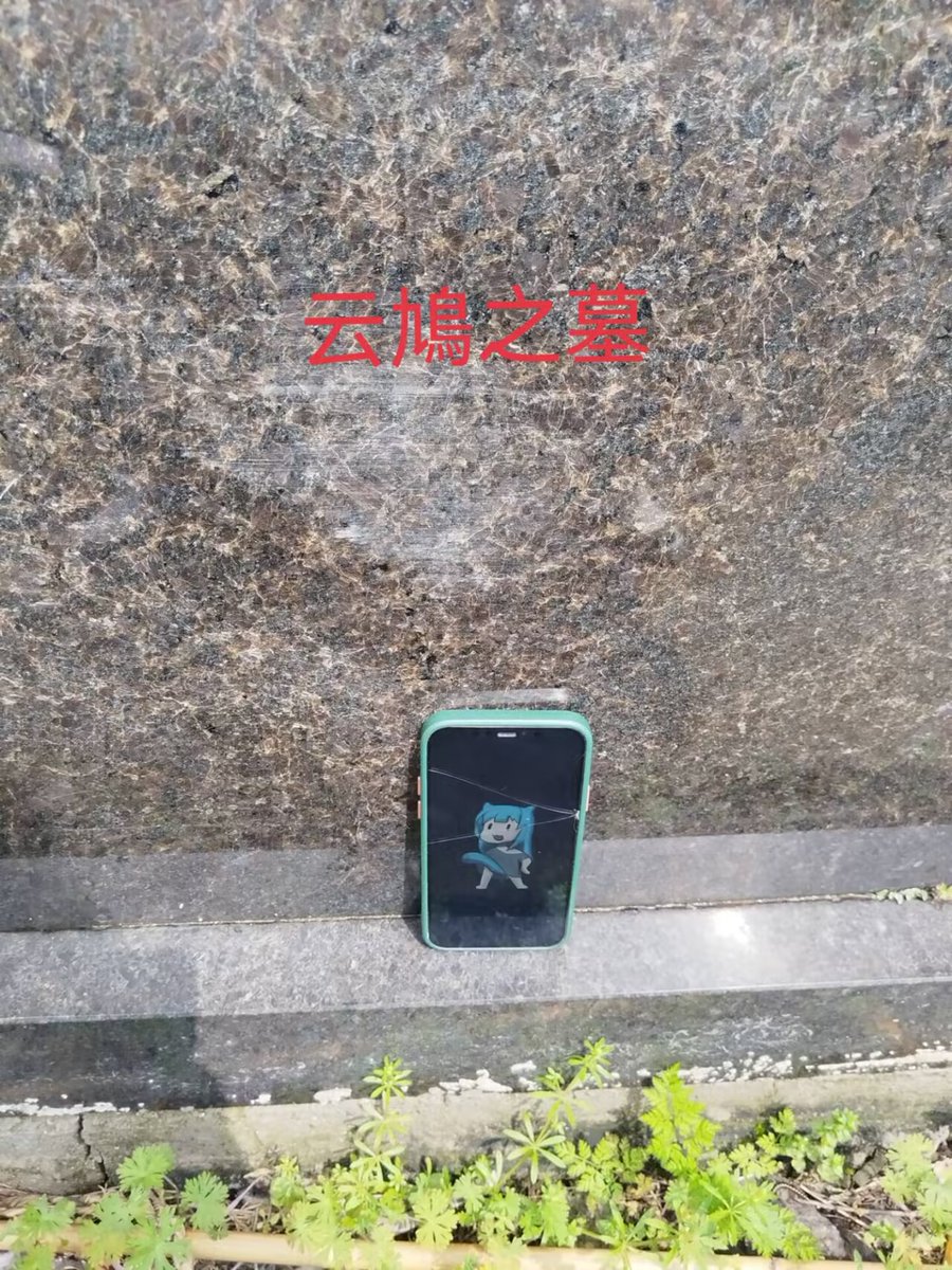 草莓走丢了 tweet media