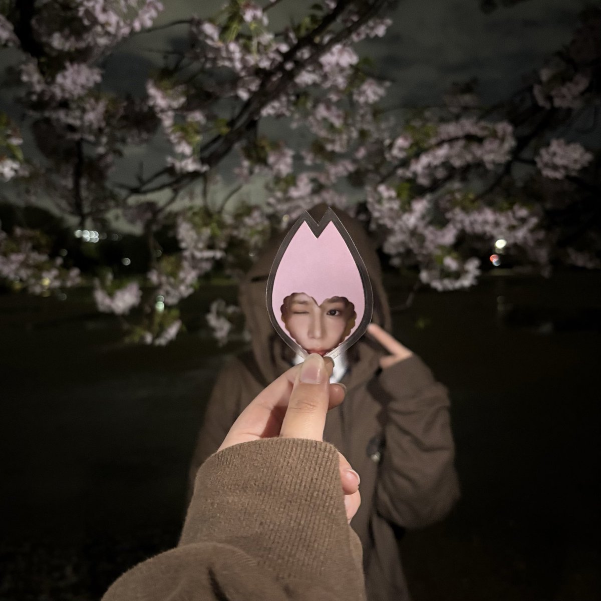 のある tweet media