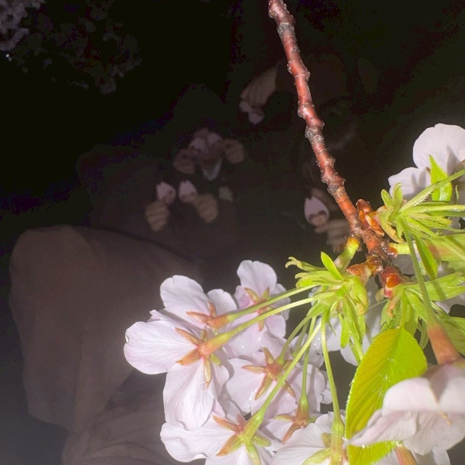 のある tweet media