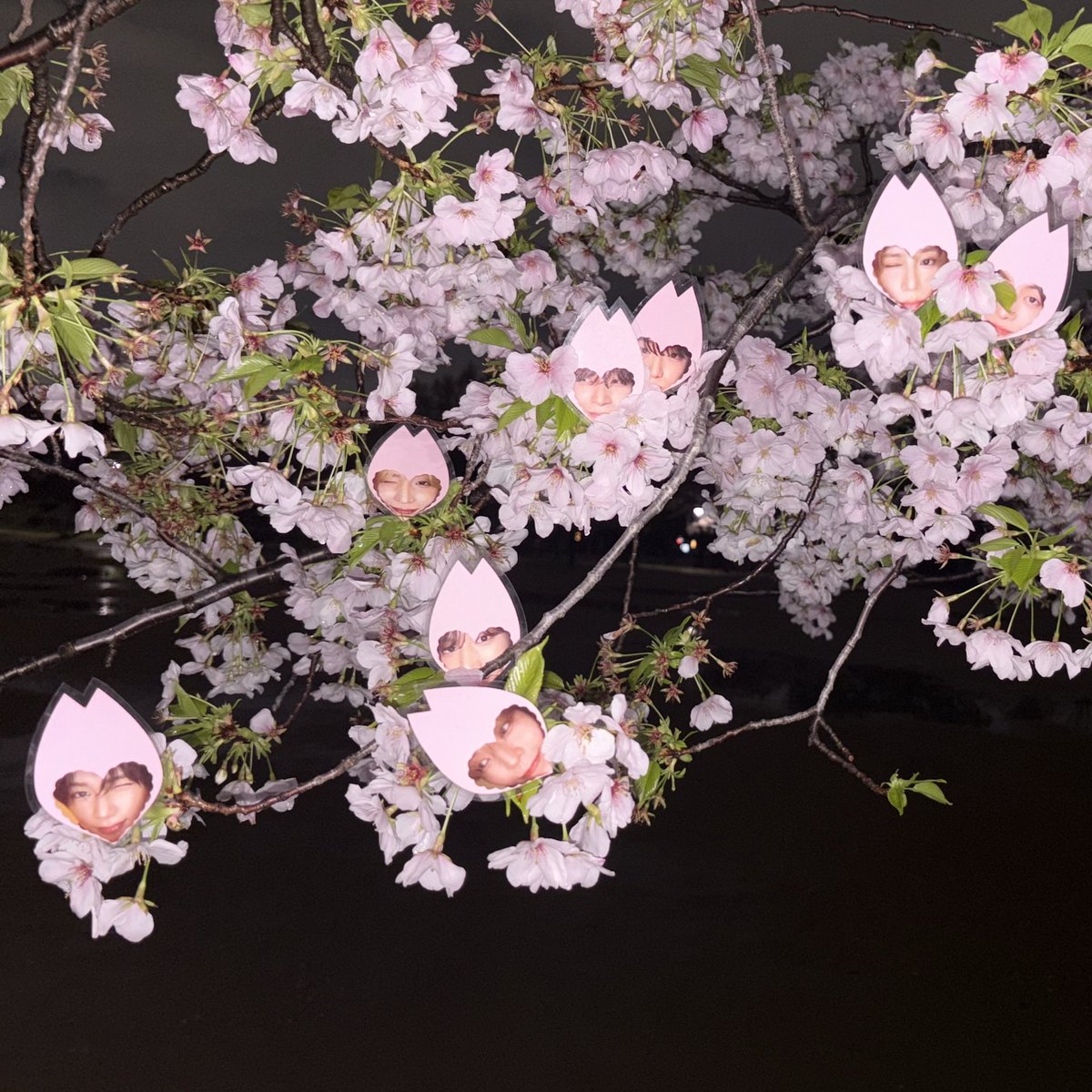 のある tweet media