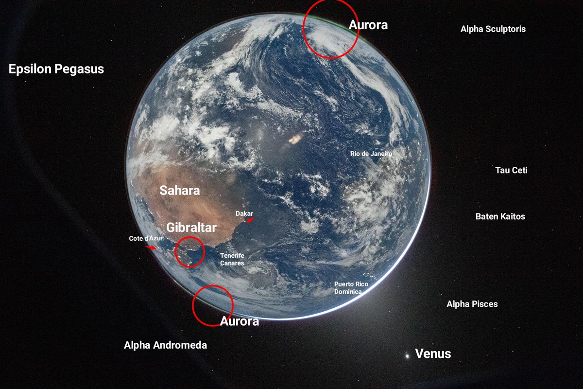 Valentin Ghincolov🇪🇺🌍✨ tweet media