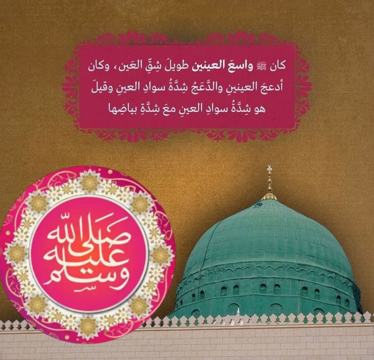 ام ابراہیم tweet media