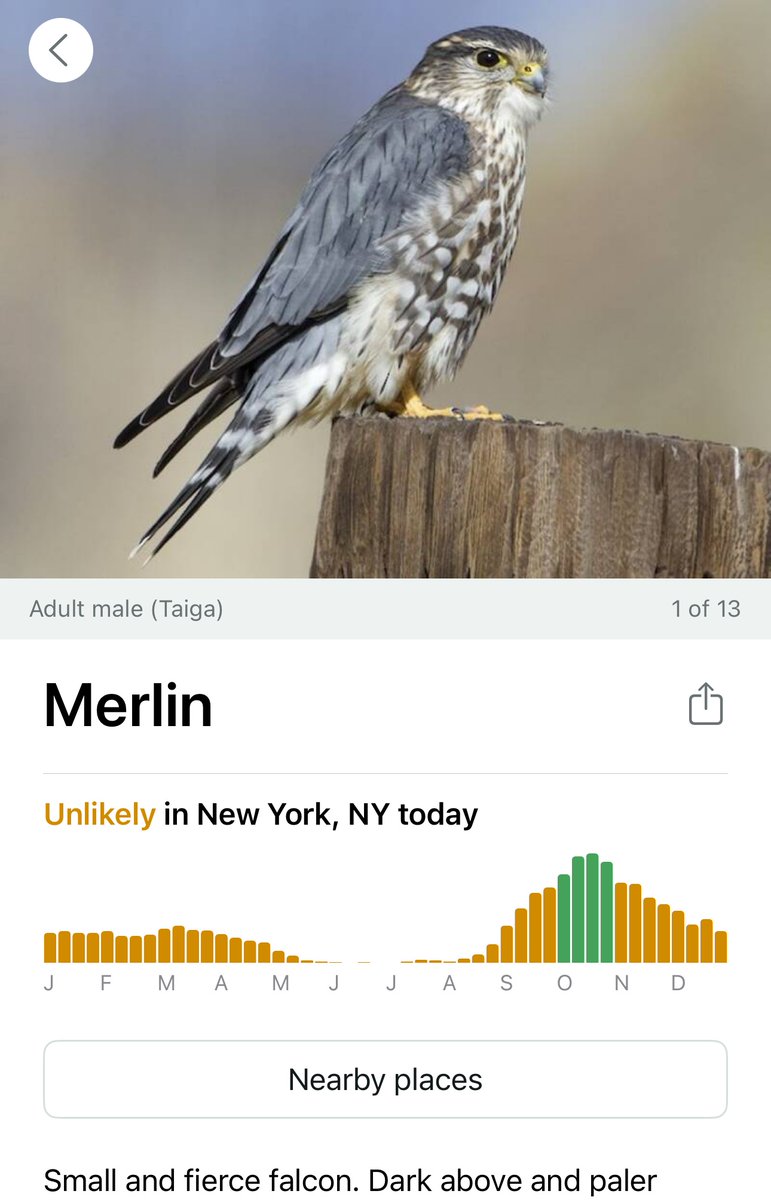 Annam (uh-numb) ☻🔻 tweet media