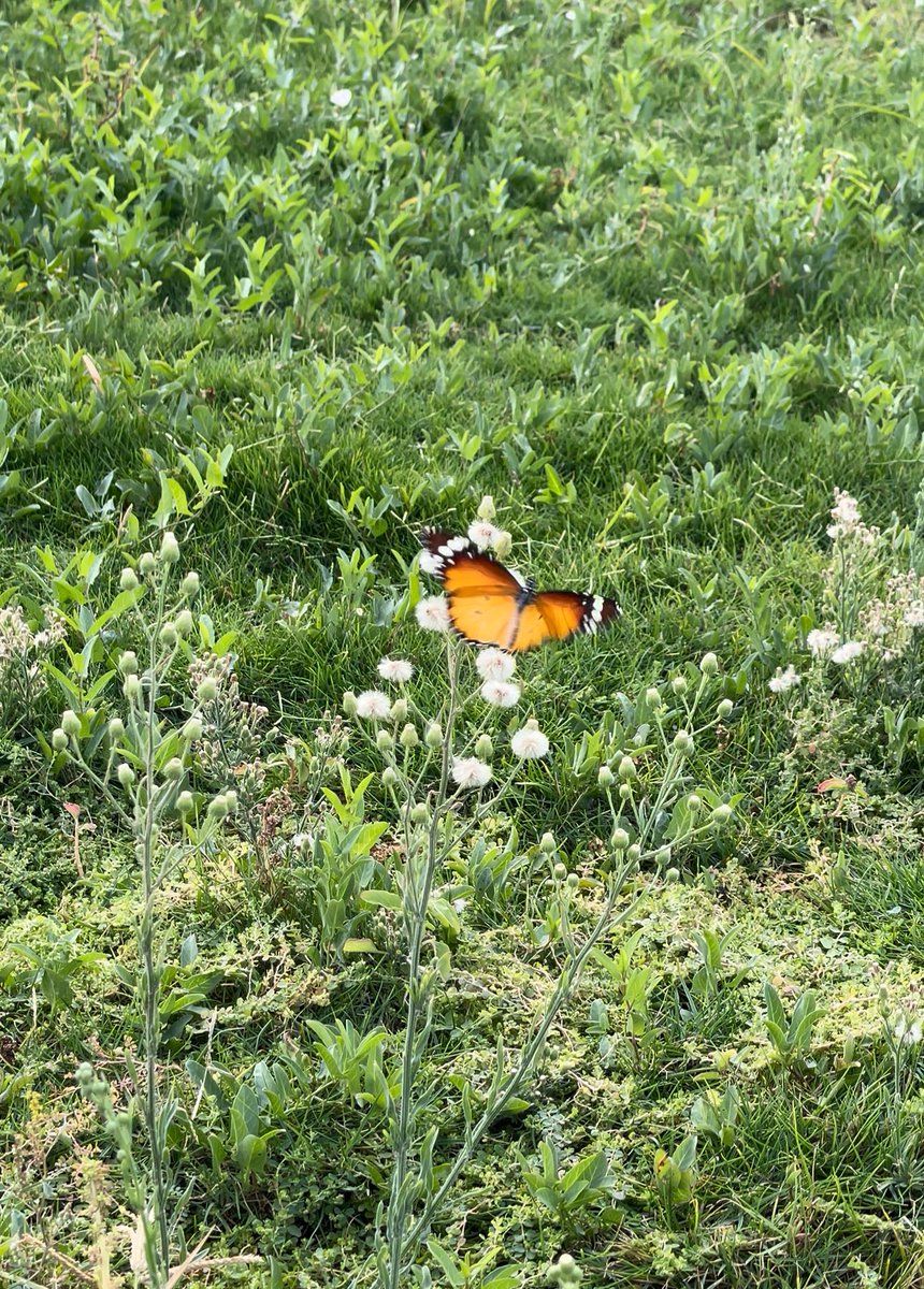 ســـــــــماهر ☀️ tweet media