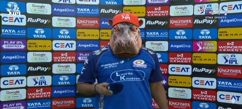 Gmaxi 👑 tweet media