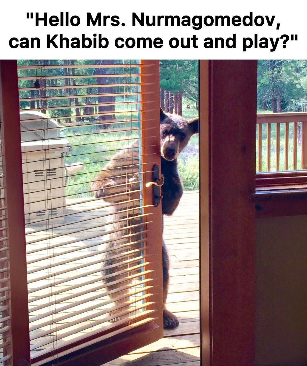 Smesh Talk tweet media