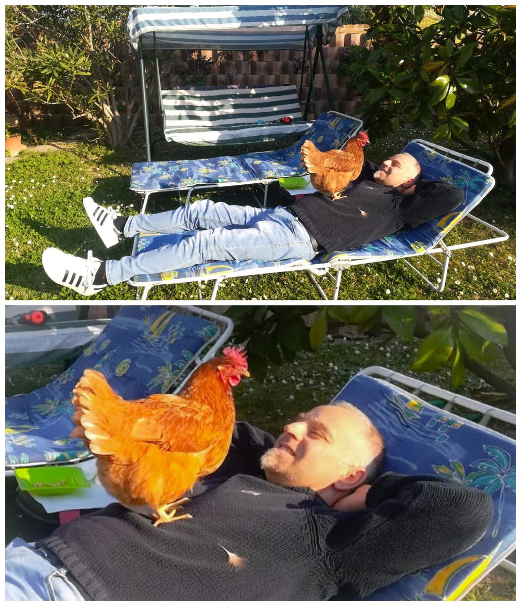 MaurizioAlba 🐦 tweet media