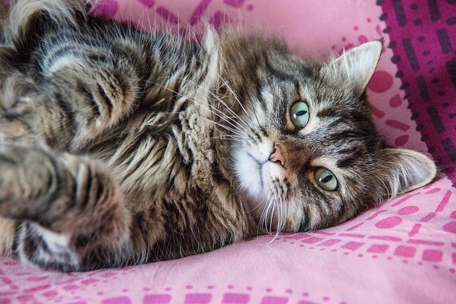 Winnie Graham tweet media