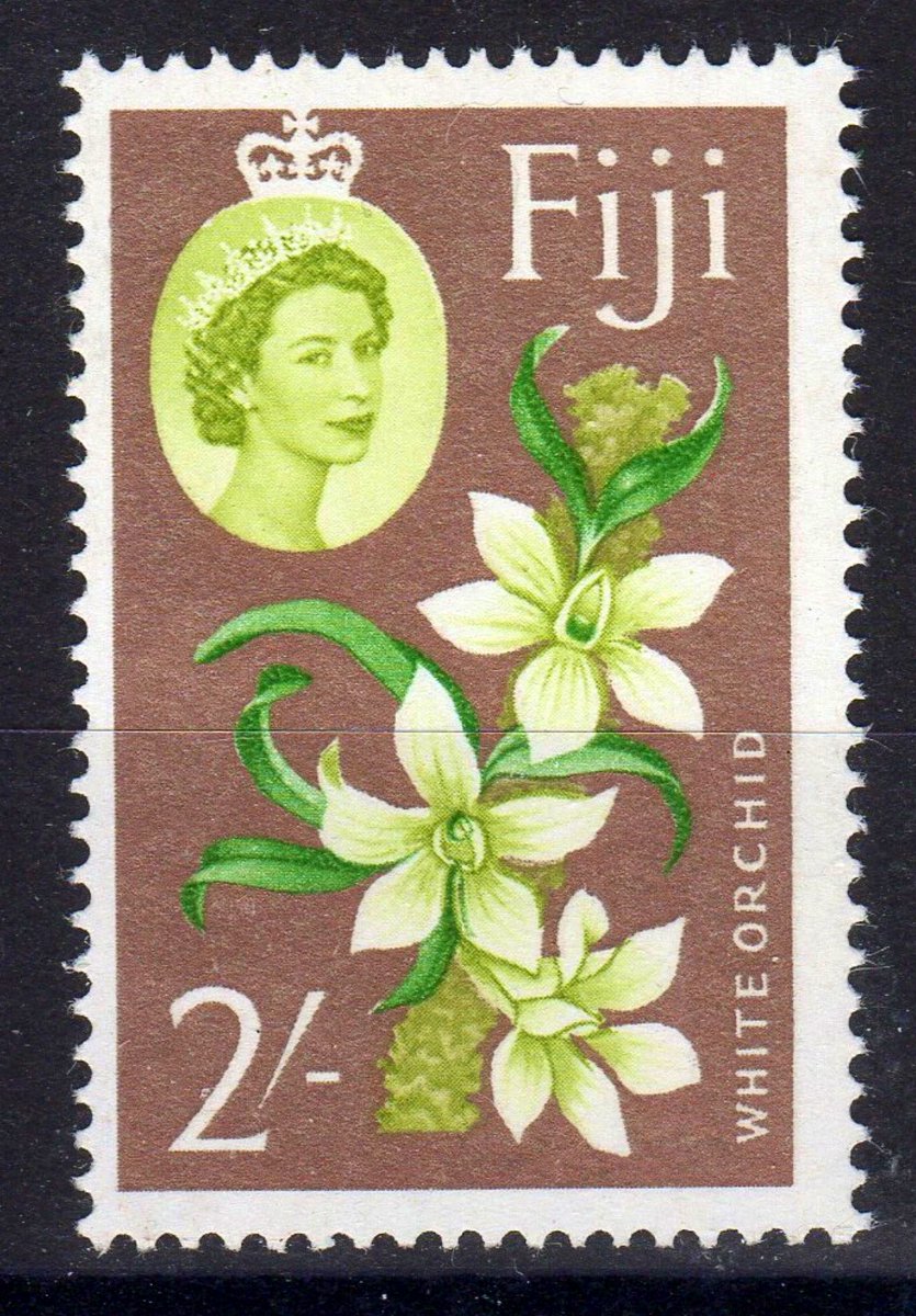 Philatelovely's tweet image. Hello Friends!! It’s the letter F today in the a-z of Flowers on stamps. Here’s a Few Floral Finds of mine, please share yours too.

Fiji 🇫🇯 
Finland 🇫🇮 
France 🇫🇷 

#stampcollecting #philately #stamps