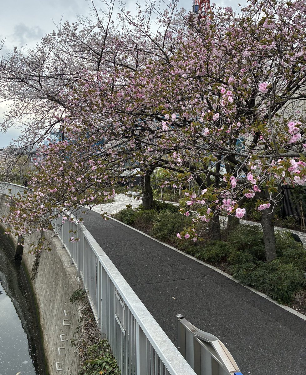 inthesky tweet media