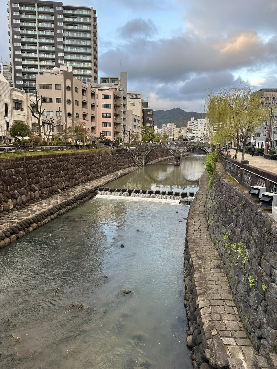 さくら・ど・れい tweet media