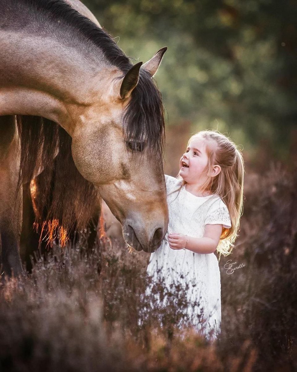 وُيَٻقٌى آلُآمْلُ ‏𓃗 tweet media