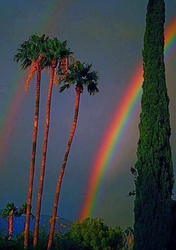 Good Girl Kate 💗 tweet media