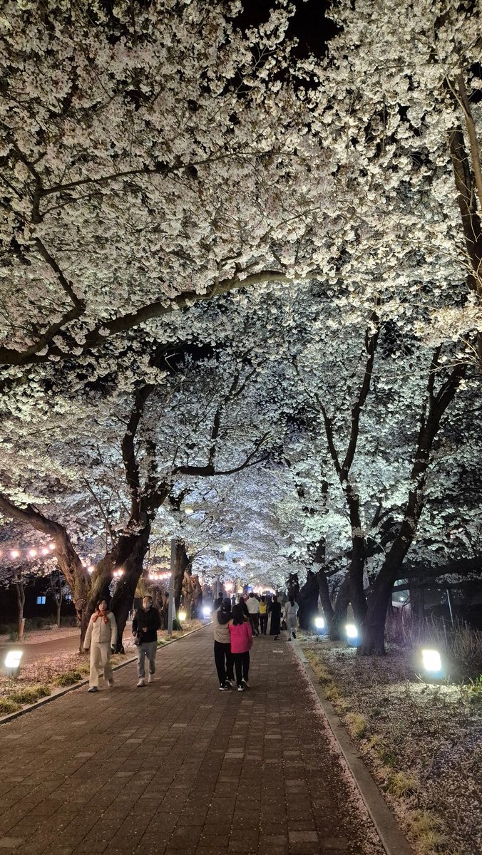 Fa1th 🍤✨ tweet media