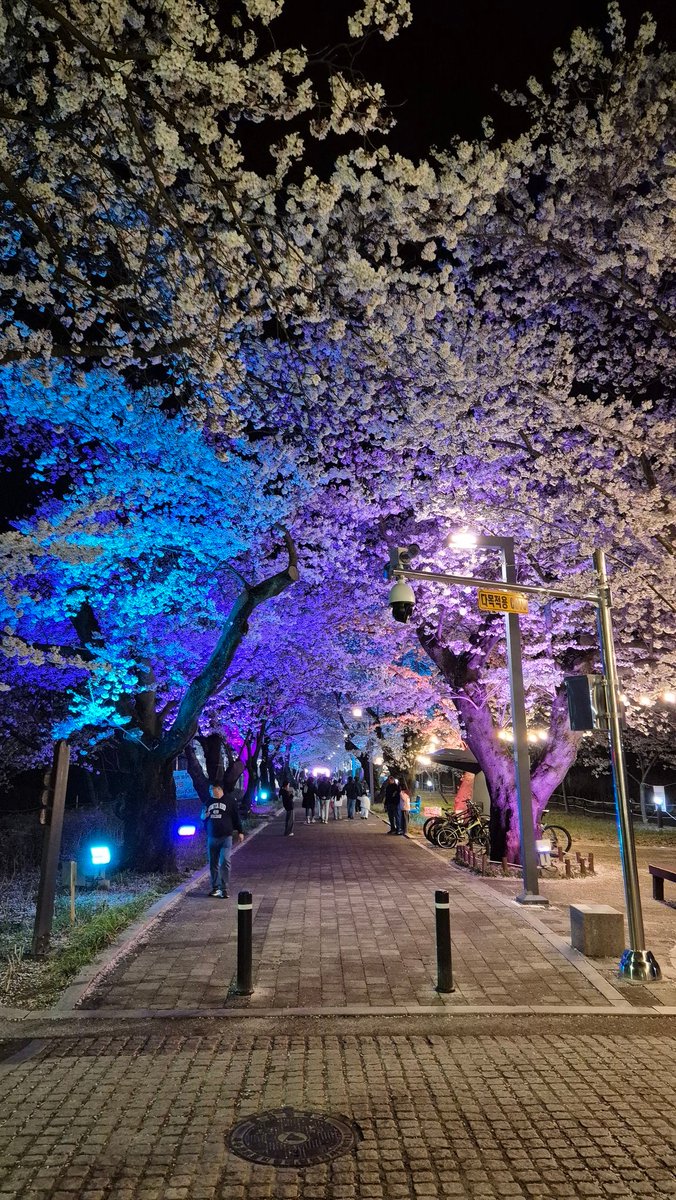 Fa1th 🍤✨ tweet media