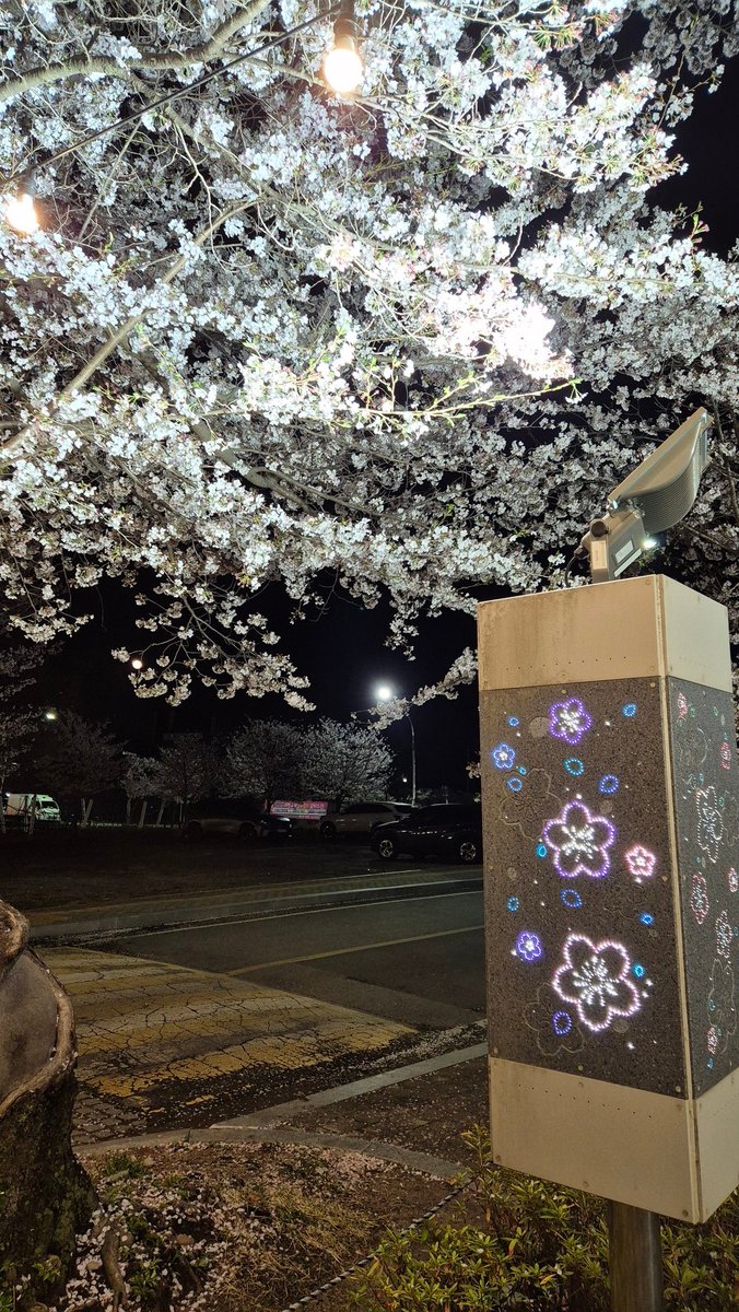 Fa1th 🍤✨ tweet media