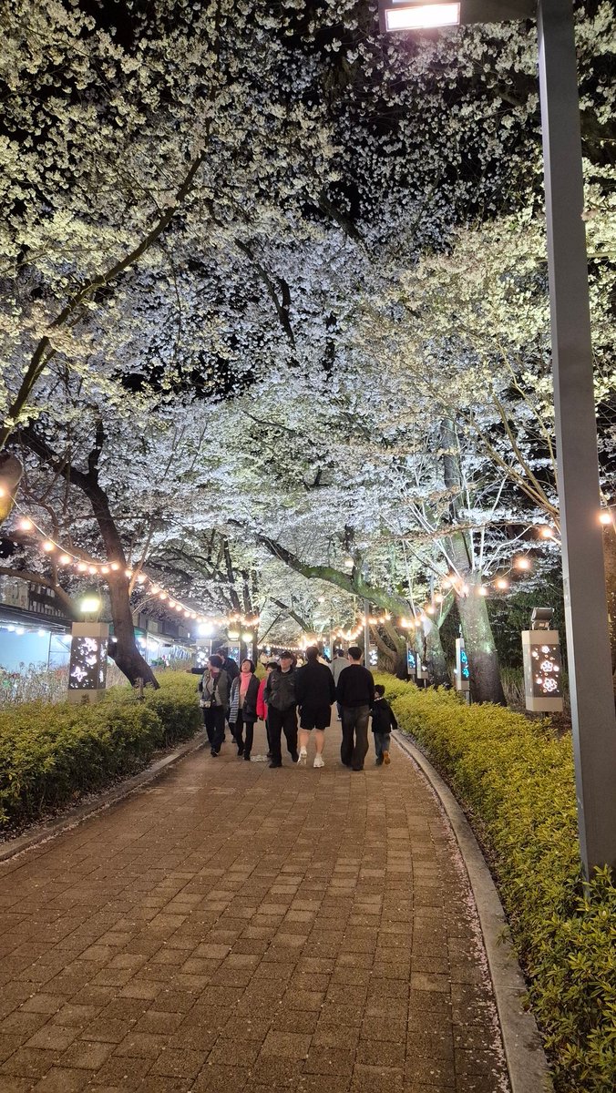 Fa1th 🍤✨ tweet media