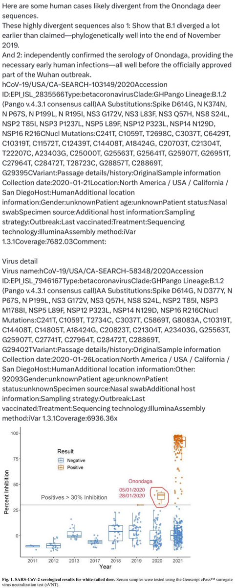 Kevin W. McCairn PhD tweet media