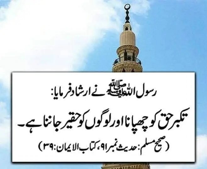 Sadia Rajpoot ⚡ tweet media