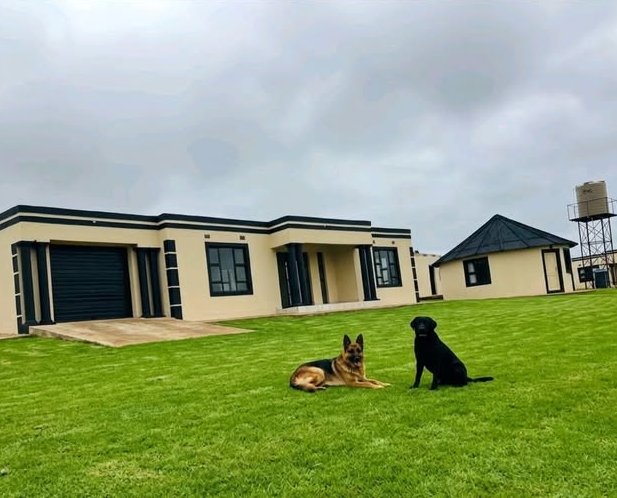 United Titles tweet media