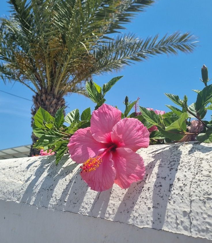 𝒍𝒖𝒏𝒂 tweet media