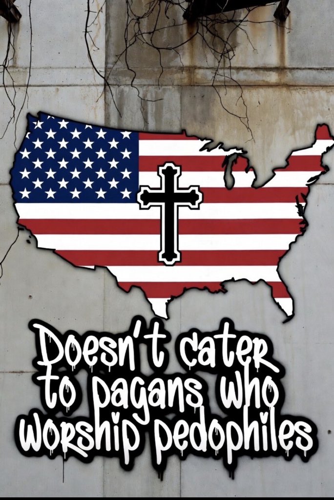 Rex Americanus 🇺🇸🇻🇮✝️ tweet media