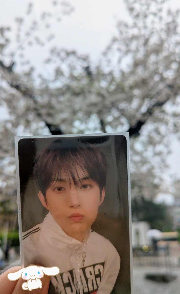 🍞🍎 tweet media